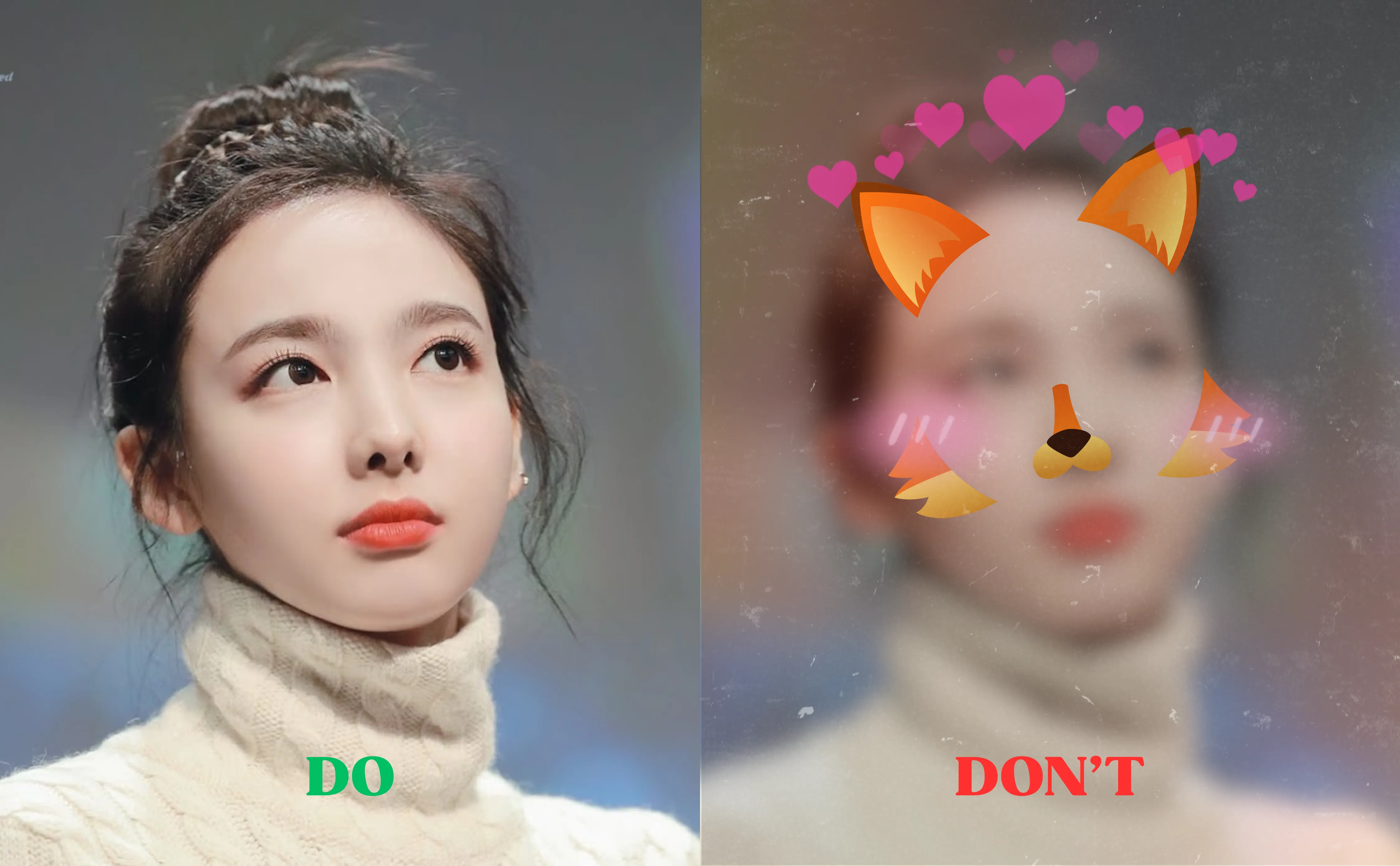Reference Photo Guide